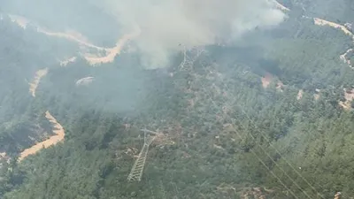 İzmir'de korkutan orman yangını