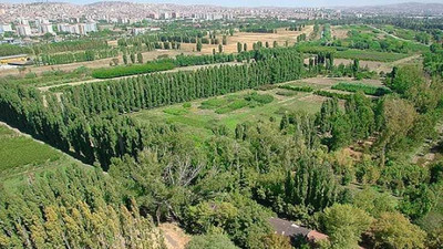 AOÇ'de üretilen 68 bin litre şaraba ne oldu?