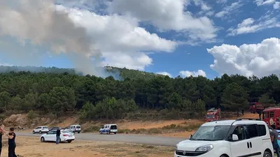 İstanbul'da orman yangını