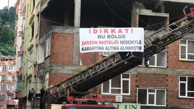 Türkiye'de şimdi de şarbon alarmı! Mahalle karantinaya alındı