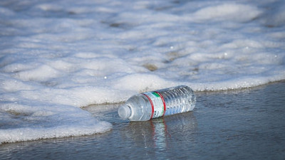 İnsan organlarında da mikroplastik bulundu!