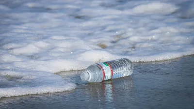 İnsan organlarında da mikroplastik bulundu!