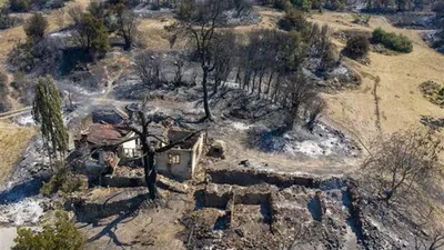 Sattığı kurbanların parası kül oldu!