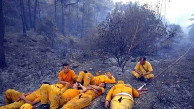 Bakan Pakdemirli paylaştı: Dün gece rahat uyudunuz mu?