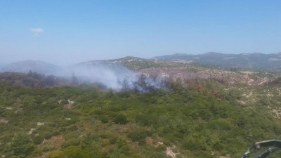 İzmir'de ormanlık alanda yangın