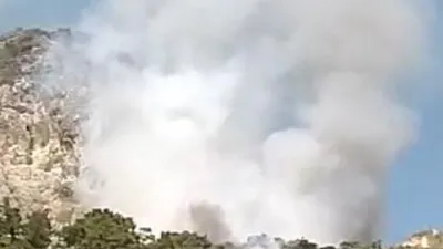 Datça'da orman yangını