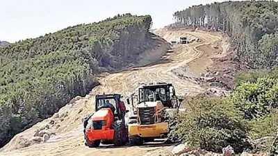 Kapıdağ'da doğa katliamı: Cennet ormanları yok ediyorlar