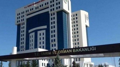Bu mu FETÖ ile mücadele: Bakanlık'ta bir FETÖ şüphelisi...
