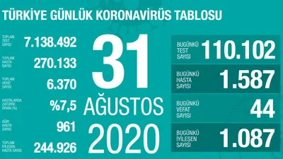 Vaka sayıları artmaya devam ediyor! İşte son 24 saatin koronavirüs tablosu