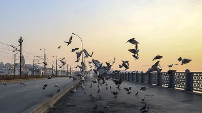 Türkiye'de sokağa çıkma yasakları geri geliyor!