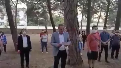 70 yıllık ağaçları kesildi!