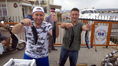 Bu sezon palamut bolluğu yaşanıyor! İşte fiyatlarda son durum