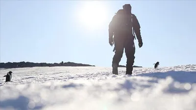 Bakan Varank: Antarktika'da kalıcı üs kuruyoruz