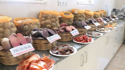Niğde'de 10 renkte patates üretildi