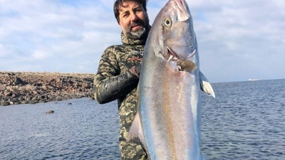 Çanakkale'den 27 kiloluk bir dev çıktı!