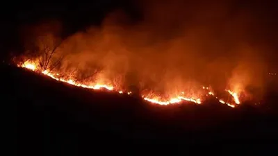 Trabzon'da korkutan yangın!