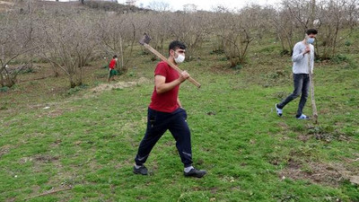 Aç kalan kurtlar mahallelinin kabusu oldu