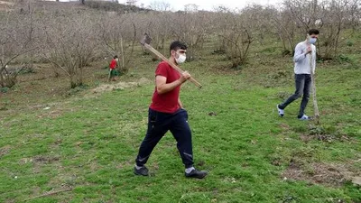 Aç kalan kurtlar mahallelinin kabusu oldu
