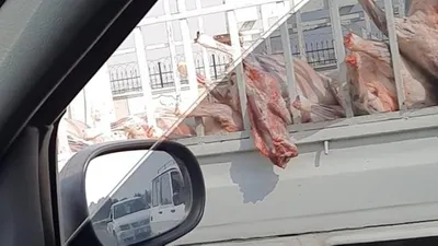 Skandal! Etleri böyle taşıdılar
