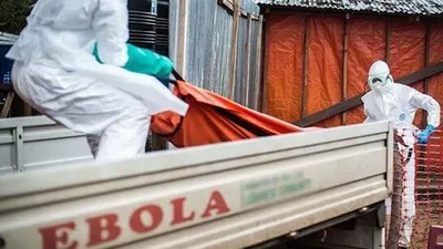 Gine'de ebola krizi! Can kaybı 6'ya yükseldi