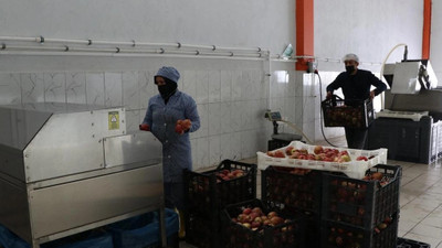 İtalya'da gördü, Niğde'de fabrikasını açtı! Şimdi dünyaya ihraç ediyor
