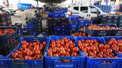 Antalya'dan dünyaya meyve ve sebze ihracatı
