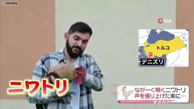 Öterken bayılan Denizli horozu, büyük ün kazandı