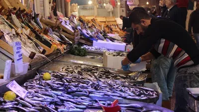 Bakan müjdeyi verdi! Hamsi avı yasağı kalkıyor