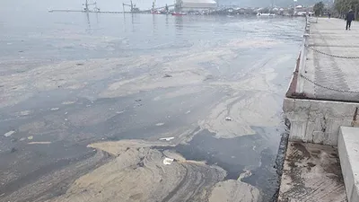 İzmit Körfezi'nde korkutan kirlilik