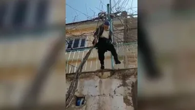 Budamak istediği asmada asılı kaldı!