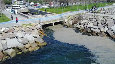 Kartal Sahili'nde ''deniz salyası'' alarmı!