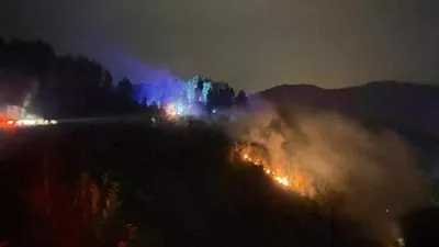 Rize'de orman yangını