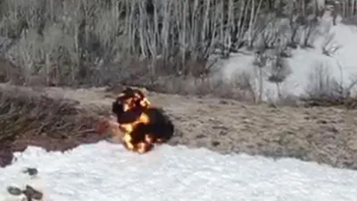 Teröre darbe! 17 sığınak imha edildi