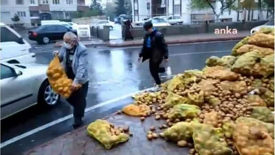 Bedava patatesleri sokağa döktüler