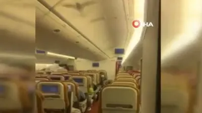 Yolcu uçağında ''davetsiz misafir'' paniği