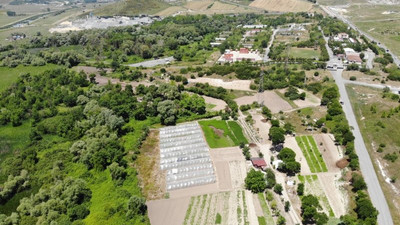 İstanbul'da binaların arasında şaşırtan görüntü