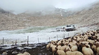 Haziran ayında Antalya'ya kar yağdı