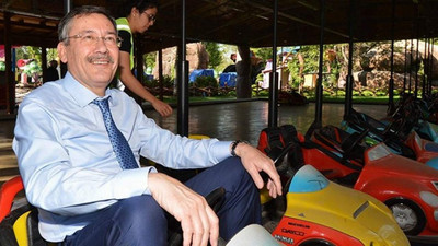 Gökçek'in ağaç ve çalı faturası dudak uçuklattı