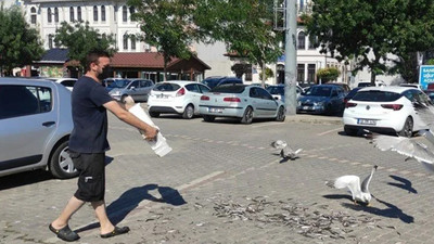 Müsilaj sadece martılara yaradı