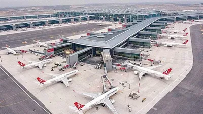 İstanbul Havalimanı'nda çekirge istilası