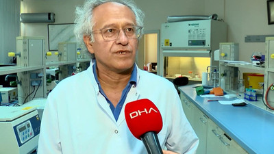 İstanbul'da Asya Kaplan Sivrisineği alarmı: En tehlikeli virüslerden birini taşıyor