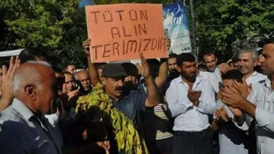 Bakan Yardımcısı Ersoy, tütün üreticilerini "elebaşı'' ilan etti