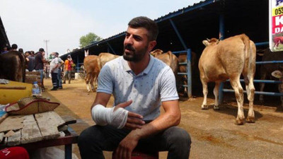 Kol çıkartan kurbanlık pazarlığı