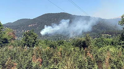 İzmir'in iki ilçesinde orman yangını