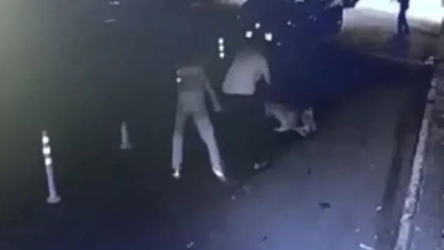Böyle canilik görülmedi: Sokak kedisini pitbulla öldürttü