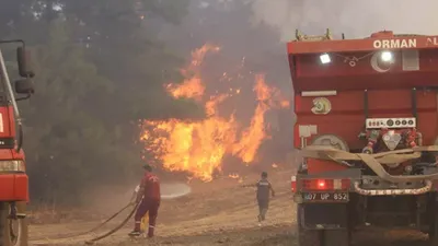 Yüreğimiz yanıyor: Manavgat'taki yangından acı haber