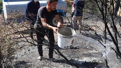 Bir orman yangını da Denizli'de! Vatandaş yetişti
