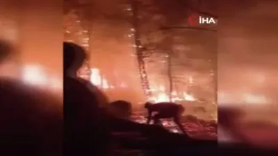 İtfaiyeciler ve vatandaşlar alevlerin içinde kaldı! Korkunç görüntüler!