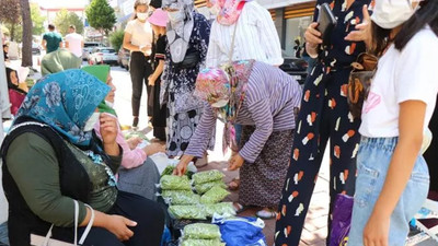 Yeşil altın: Boyu büyüdükçe fiyatı düşüyor