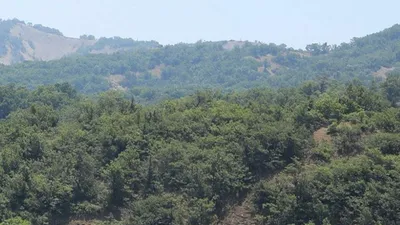 Bir ilde daha ormanlık alanlara giriş yasaklandı